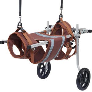 Silla Ruedas perro grande ajustable 25 a 35 KG