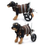 Silla Ruedas perro XS y S ajustable 4 a 9 KG - Imagen 5