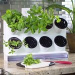 Mini huerto portátil con riego eficiente - Imagen 2