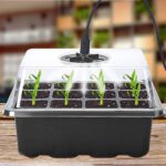 Almaciguera germinador semillas con luz pack 5 bandejas - Imagen 6