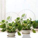 Soporte plantas trepadoras Mariposa Blanca - Imagen 2