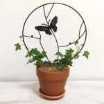 Soporte plantas trepadoras Mariposa Negra - Imagen 3