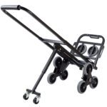 Yegua sube escaleras