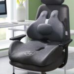 Cojín y Respaldo Lumbar para coxis silla y automóvil - Imagen 6