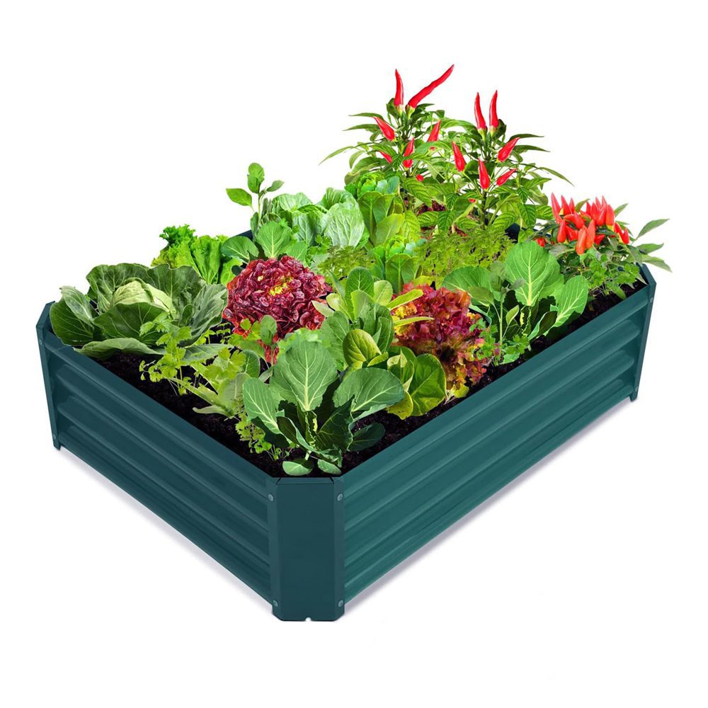 Bancal huerto urbano invernadero cajón - Imagen 2