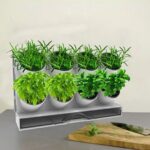 Mini huerto portátil con riego eficiente - Imagen 3