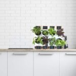 Mini huerto portátil con riego eficiente - Imagen 7