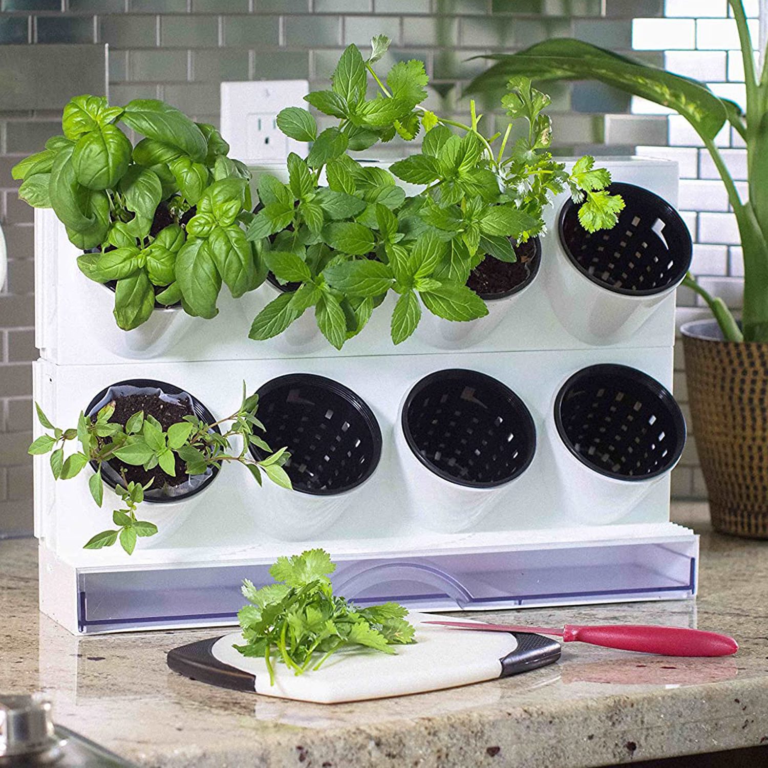 Mini huerto portátil con riego eficiente - Imagen 2