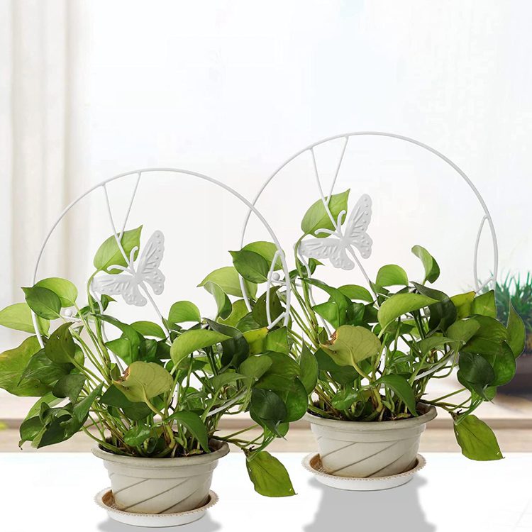 Soporte plantas trepadoras Mariposa Blanca - Imagen 2