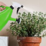 Regadera con pulverizador de agua plantas 1000 ml - Imagen 8